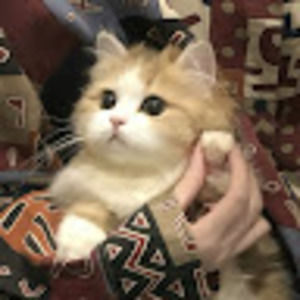 Meet your Posher, Penny